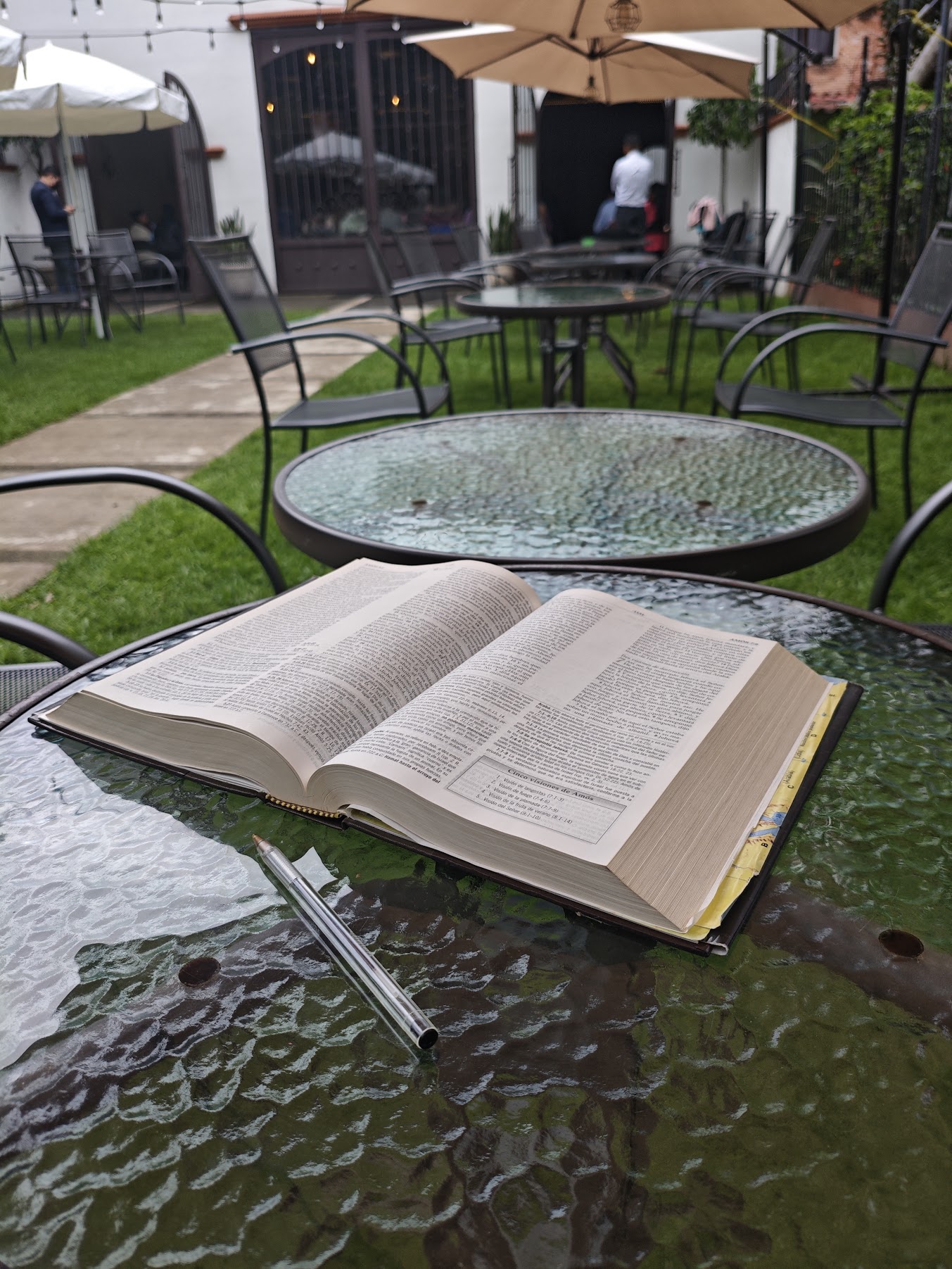 Biblia abierta sobre una mesa en el jardín de Roca Eterna